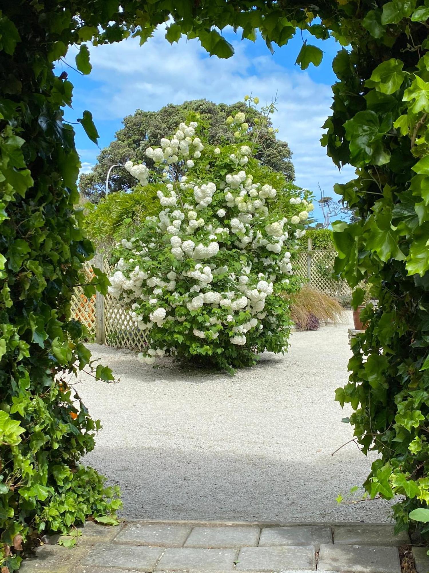 Glascroft Gardens - Bed & Breakfast Patea Exterior photo